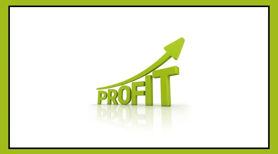 Business Idea result