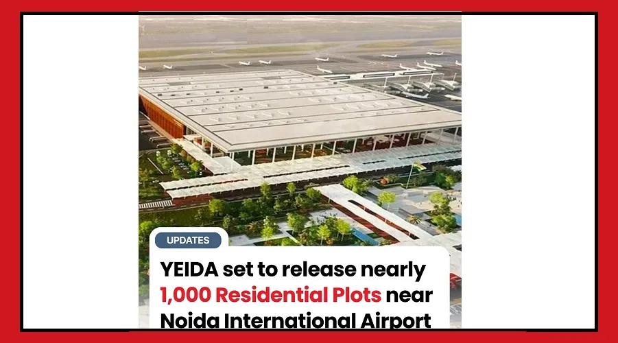 Noid Plots result